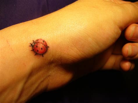 little ladybug Dog Tattoos, Tattoos And Piercings, Body Art Tattoos, Tatoos, Ladybird Tattoo ...