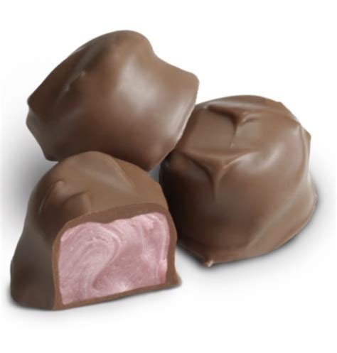 Albanese Chocolate raspberry creams | Curious Candy