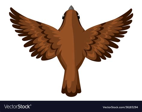 Top view flying sparrow bird flat cartoon Vector Image