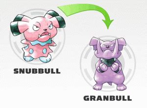 Pokemon Evolução: Evolução Snubbull