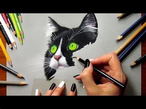 How to Draw a Cat - YouTube http://represent.com/kittenshirt | Colored ...