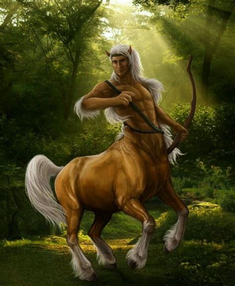 Centaure ♂ - Archer Magical Creatures, Fantasy Creatures, Fantasy World ...