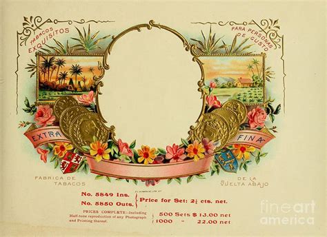 Vintage cigar boxes label Digital Art by Alexandr Testudo - Fine Art America