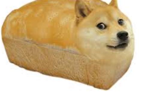 Doge bread Blank Template - Imgflip