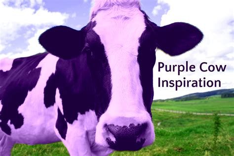 Purple Cow Inspiration - Em Capito, LCSW, MBA, E-RYT