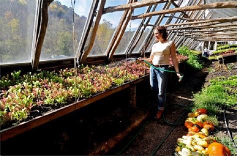 Underground Greenhouse: Uses and Benefits • Insteading