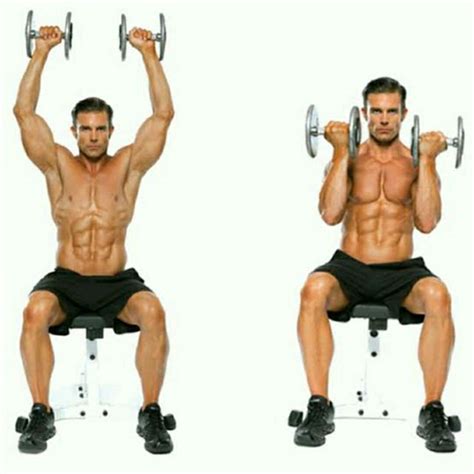 Arnold Shoulder Press by Pouria E. - Exercise How-to - Skimble