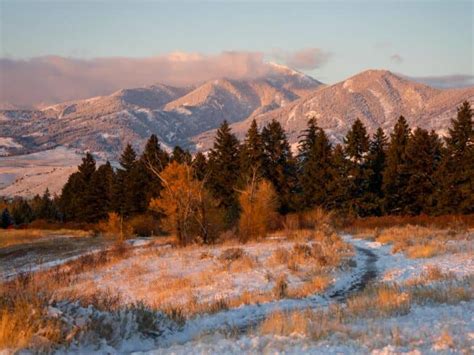 The 12 Best Hotels in Bozeman, Montana – Wandering Wheatleys