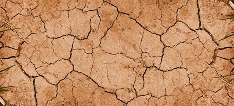 Premium Photo | Dry mud background texture