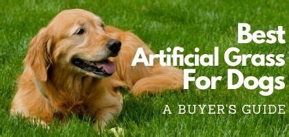 Best Artificial Grass for Dogs – Pet Friendly Turf Guide