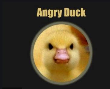 Pin by NOT_MY_LEGOS 👌👌 on Funny | Angry duck, Duck, Angry