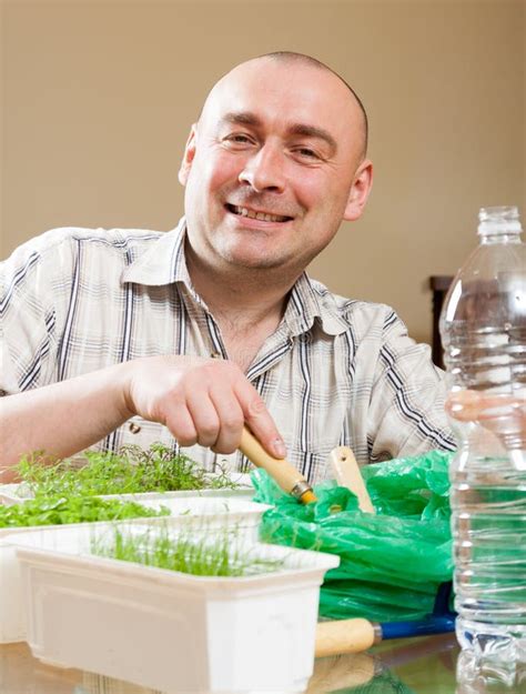 Man Growing Parsley and Dill Stock Photo - Image of plant, small: 45365558