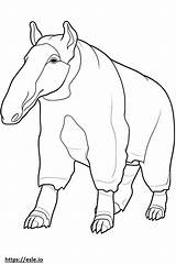 Anteater Happy coloring Page sketch template