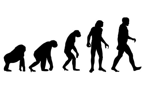 Have humans stopped evolving? | SiOWfa15: Science in Our World ...