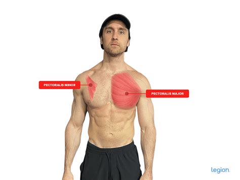 The Best At-Home Chest Workouts (with Bodyweight, Dumbbells, or Bands!) | IronMag Bodybuilding ...