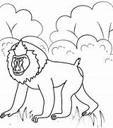 9 Sweet And Cute Baboon Coloring Pages For Children  sketch template