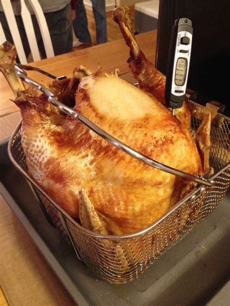 Deep Fried Turkey - Indoors! | My Other More Exciting Self | Deep fried turkey, Fried turkey ...