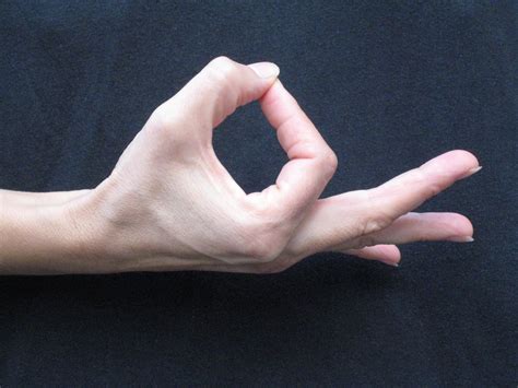 Jnana Mudra Wisdom - Jennifer Reis Yoga