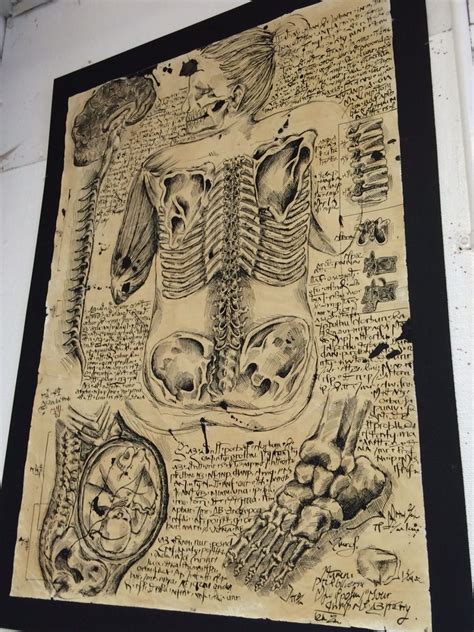 The anatomy from sketchbook a level artwork