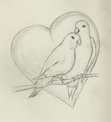 Cute Love Birds Sketch - bmp-power