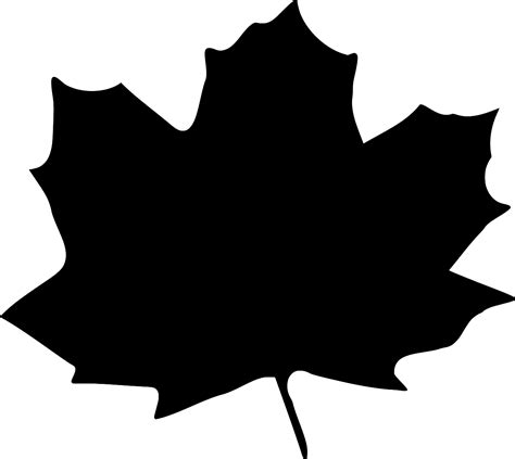 SVG > leaf foliage oak - Free SVG Image & Icon. | SVG Silh