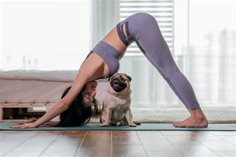 Dog Yoga - Heritage Humane