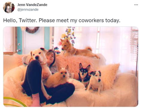 31 Funny Animals Tweets To Bring A Little More Positivity Into Your Day