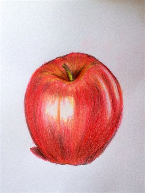 Realistic Pencil Sketch Apple Drawing