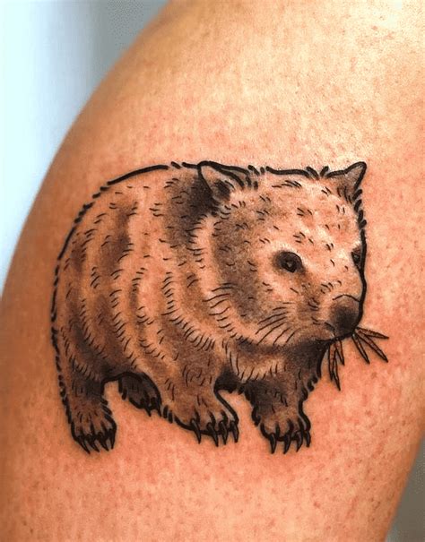 Wombat Tattoo Design Images (Wombat Ink Design Ideas) | Wombat, Cartoon tattoos, Tattoo designs