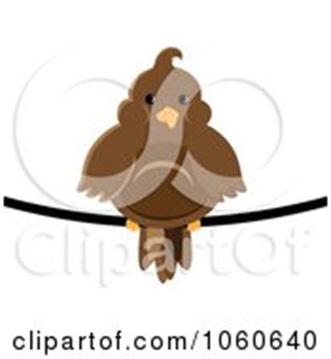 Royalty-Free (RF) Cartoon Bird Clipart, Illustrations, Vector Graphics #1