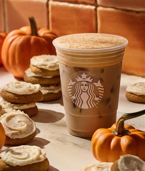 The 13 Best Starbucks Fall Drinks to Order in 2024 - PureWow