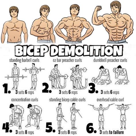 Pin by Gym Training MoPower on Gym Training | Big biceps workout, Biceps workout, Bicep workout gym