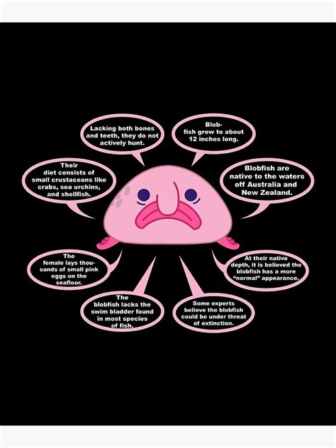 "Fun Facts About Blobfish T-Shirt" Metal Print for Sale by inkedtee | Redbubble