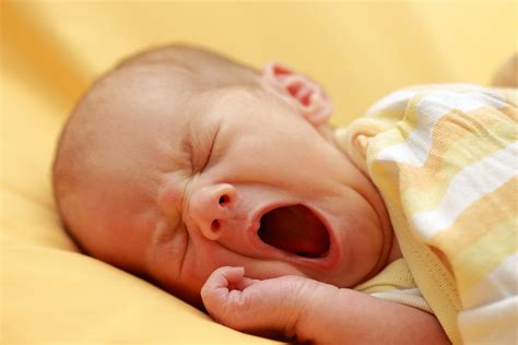 What causes a yawn | General center | SteadyHealth.com