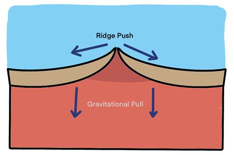 Construct and label a model that shows the processes of ridg | Quizlet