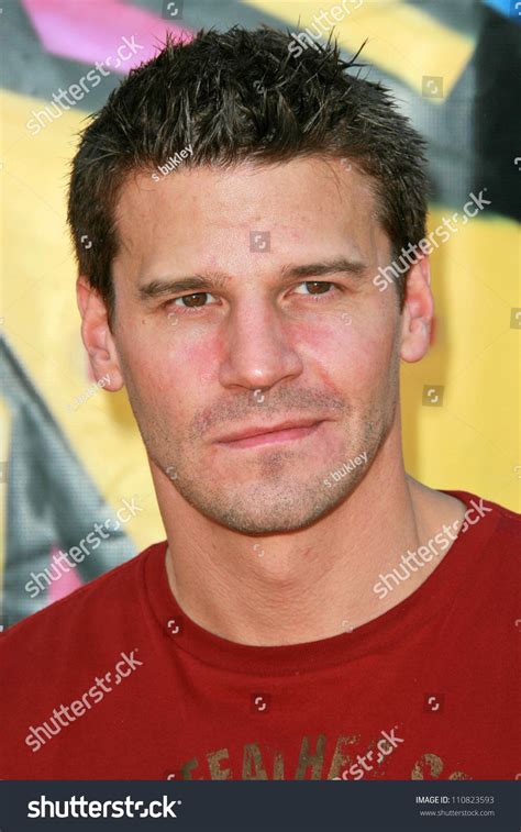 David Boreanaz 2007 Teen Choice Awards Stock Photo 110823593 | Shutterstock