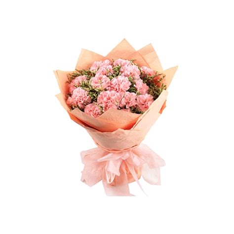 Send 12 Pink Carnations Bouquet To Philippines | Send Carnations To ...