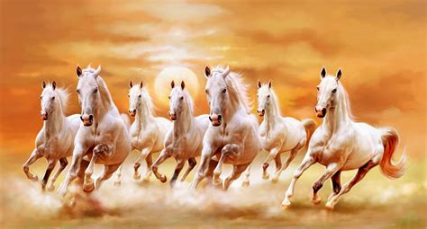 Beautiful White Horses - 7 White Horses Running (#281788) - HD ...