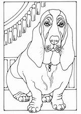Coloring Page basset  Free Printables Img 28214 sketch template