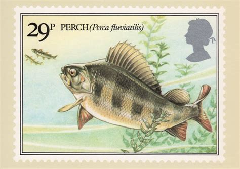 British River Fishes (1983) : Collect GB Stamps