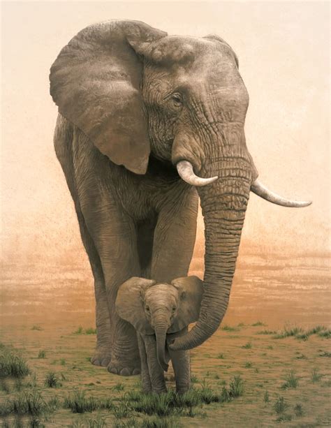 Mother Elephant and Baby/Animal Poster/Illustration/Africa/ 17x22 inch ...