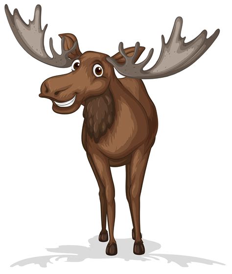 Moose Cartoon Vector Art, Icons, and Graphics for Free Download