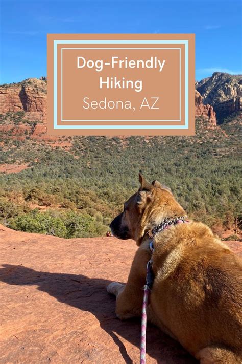 A Dog-Friendly Hiking Trip in Sedona | Dog friends, Hiking dogs, Road trip with dog