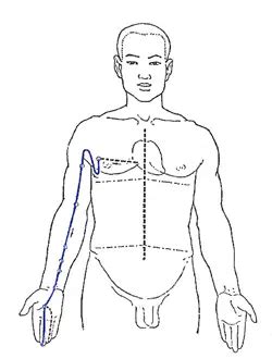 Pericardium Meridian - Protector of the Heart