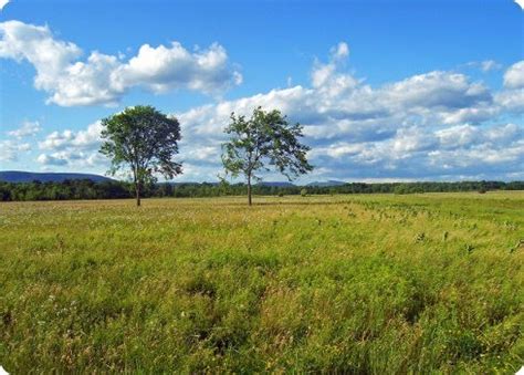 El Blog de la Agricultura Orgánica: La fertilización desestabiliza el ecosistema global de los ...