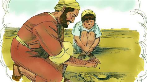 Mustard Seed Parable For Kids