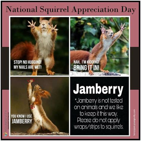 National Squirrel Appreciation Day in 2021 | Squirrel appreciation day, Squirrel pictures, Squirrel