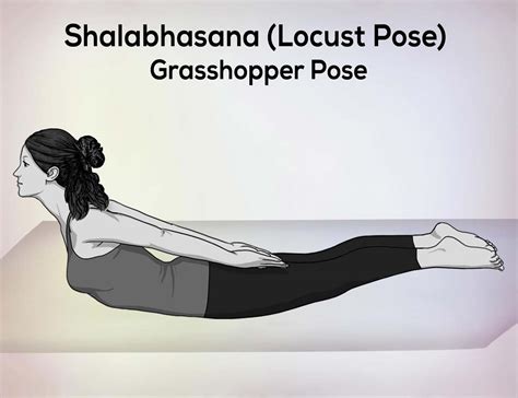 Shalabhasana (Locust Pose) Steps, Benefit, Precautions, Tips - nexoye