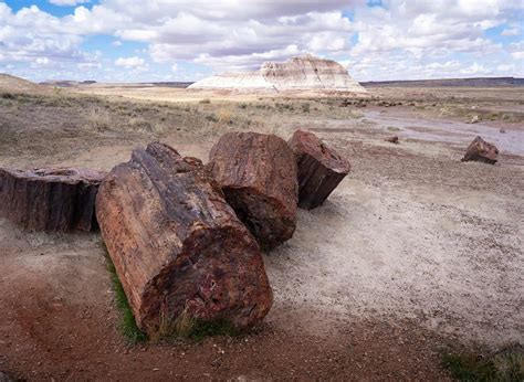 One Day in Petrified Forest National Park: A Complete Guide - Uprooted ...