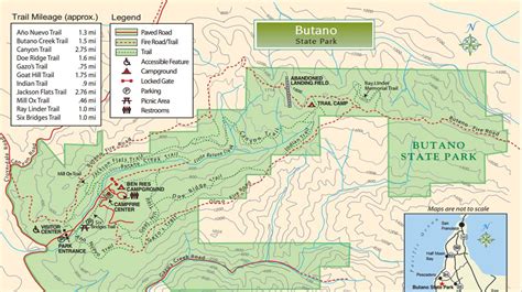 Butano State Park trail map - Frog Mom